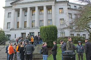 Gun regulations draw an overflow crowd to hearing