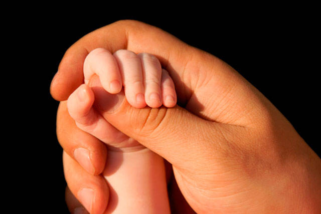 Kent’s 50-plus program offers Leave a Legacy of Love Projects Workshop