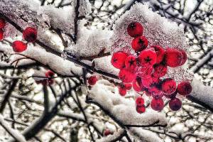 Kent Arts Commission announces winners of Kent Creates exhibit