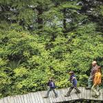 City of Kent seeks Parks & Recreation Commission members