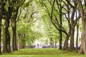 Kent seeks input about land use open space, housing