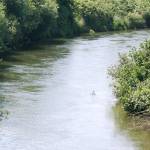 Residents can view FEMA preliminary flood maps at Kent open house