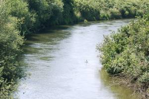 Residents can view FEMA preliminary flood maps at Kent open house
