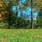 City of Kent parks staff to implement new maintenance plan