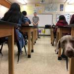 Dr. Rob McMonigle talks to students about his work as a Kent veterinarian as his dog, Wilson, tours the room during the Career Fair at Meeker Middle School. COURTESY PHOTO