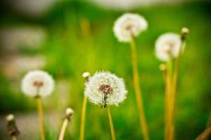 COURTESY PHOTO, MultiCare