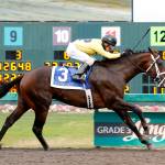 Gold Rush Dancer, with Evin Roman in the irons, captured the 82nd running of the Longacres Mile (Grade 3) at Emerald Downs last year. COURTESY TRACK PHOTO
