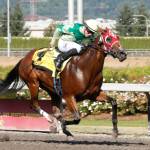 Bella Mia, a four-time winner including three stakes, returns to Emerald Downs as one of the top 3-year-old fillies this meet. COURTESY TRACK PHOTO