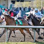 Mary Lois, with Jennifer Whitaker up, posts an upset victory Sunday in the featured Valpak Purse for older fillies and mares as Emerald Downs. COURTESY TRACK PHOTO
