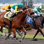 Citizen Kitty prevails in Muckleshoot Purse