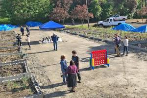 Paradise Parking Plots Community Garden ready to blossom