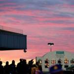 It’s Fabulous Friday time | Stable news and notes