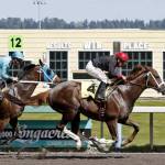 Barkley, with Javier Matias riding, captures a three-quarter-length victory over archrival Mach One Rules in the $21,500 allowance feature for 3-year-olds and up at Emerald Downs on Sunday. COURTESY TRACK PHOTO