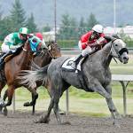 Ima Happy Cat and Rocco Bowen clear in the stretch en route to capturing the $50,000 Seattle Stakes on Sunday. COURTESY TRACK PHOTO