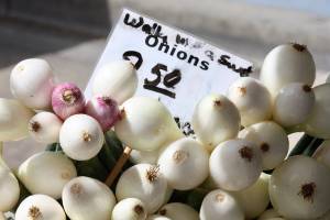 Farmers market opens