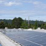 Solar panels cover the Northwest Harvest warehouse in Kent, thanks to a Puget Sound Energys Green Power solar grant. COURTESY PHOTO