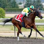 Bella Mia turns back Ima Happy Cat in Kent Stakes champion