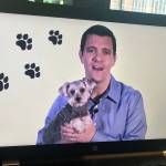 Sen. Fain wins Telly Awards for ‘57 Seconds’ films