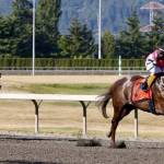 Sippin Fire, with Rocco Bowen up, dashes to a 3½-length victory in Sundays $50,000 Coca-Cola Stakes for 3-year-old colts and geldings at Emerald Downs on Sunday. COURTESY TRACK PHOTO