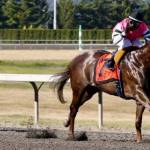 Sippin Fire explodes to the fore in Coca-Cola Stakes