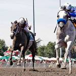 Dedicated to You takes Budweiser via DQ