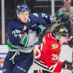 Thunderbirds open season at home against rival Winterhawks on Sept. 22