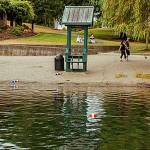 City of Kent removes lifeguards from Lake Meridian Park due to arson fire