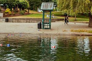 City of Kent removes lifeguards from Lake Meridian Park due to arson fire
