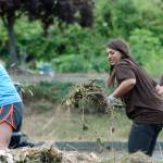 Tahmina Martelly, resiliency programs manager for World Relief Seattle, middle, helps volunteers clear away weeds at the Paradise Parking Plots Community Garden last Saturday. MARK KLAAS, Kent Reporter