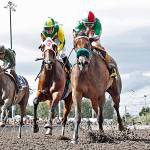 Diamonds R and Leonel Camacho-Flores score a $28.20 upset in the $50,000 Irish Day Stakes for 3-year-old fillies at Emerald Downs on Sunday. COURTESY TRACK PHOTO