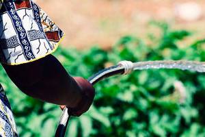 St. Columba Church opens community garden for refugees, immigrants