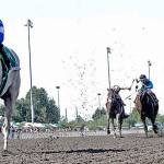Riser (left) holds off Barkley (far right) in the Mt. Rainier Stakes on Sunday at Emerald Downs in Auburn. COURTESY PHOTO, Emerald Downs