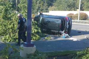 Speeding motorist strikes, kills elderly pedestrian on Pac Highway