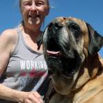ois Bax, of Kent, and her dog, Leo, an 8-year-old, 164-pound Mastiff, take in the crowd for the Dog Daze and Feline Fantasies Pet Adoption Event at Kent Station last Saturday. Bax rescued Leo three years ago. They enjoy the opportunity to get out and mingle at public events. MARK KLAAS, Kent Reporter