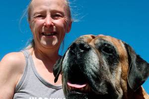 Dog Daze and Feline Fantasies