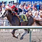 Howard Belvoir-trained Barkley, a five-time stakes winner who finished fourth in last years Longacres Mile, will challenge Sunday. COURTESY, Palmer Photography/Emerald Downs
