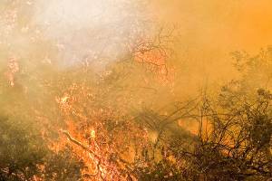 Wildfire smoke spreads into Kent, Puget Sound region