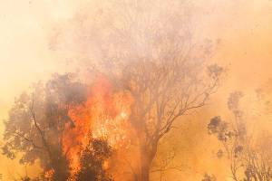 Health agencies issue air quality alert for Puget Sound region due to wildfire smoke