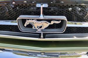 Show of classic chrome and horsepower