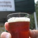Hops & Crops Music and Beer Festival returning to Mary Olson Farm