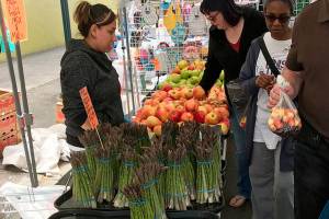 City of Kent seeks applicants for tourism grants