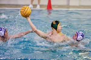 COURTESY PHOTO, Tracy Arnold