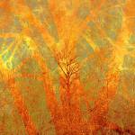 Image credit: Bramble, mixed media collage/Liz Ruest