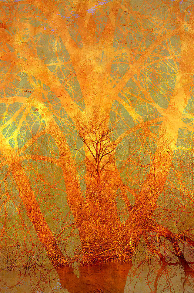 Image credit: Bramble, mixed media collage/Liz Ruest