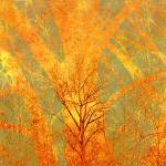 Entries wanted for Kent Arts Commission’s latest Kent Creates exhibit