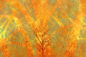 Entries wanted for Kent Arts Commission’s latest Kent Creates exhibit