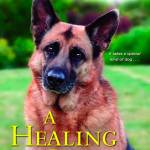 ‘A Healing Justice’ should be on your bookshelf
