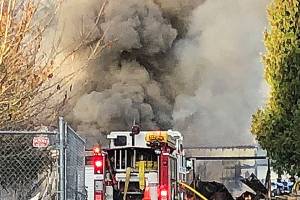 Seven horses die in Kent barn fire | Update: cause undetermined because of heavy damage