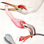 Kent Arts Commission seeks applicants to fill two vacancies