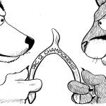 Plenty at stake in the Palouse